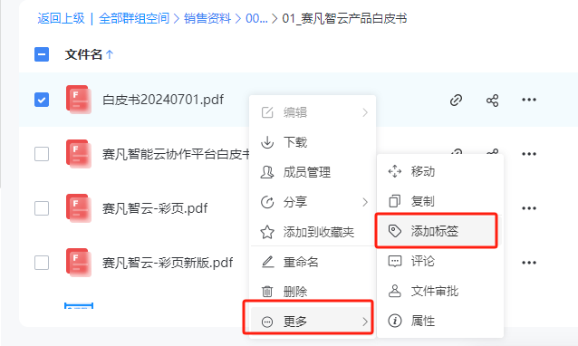 赛凡智云文件管理界面